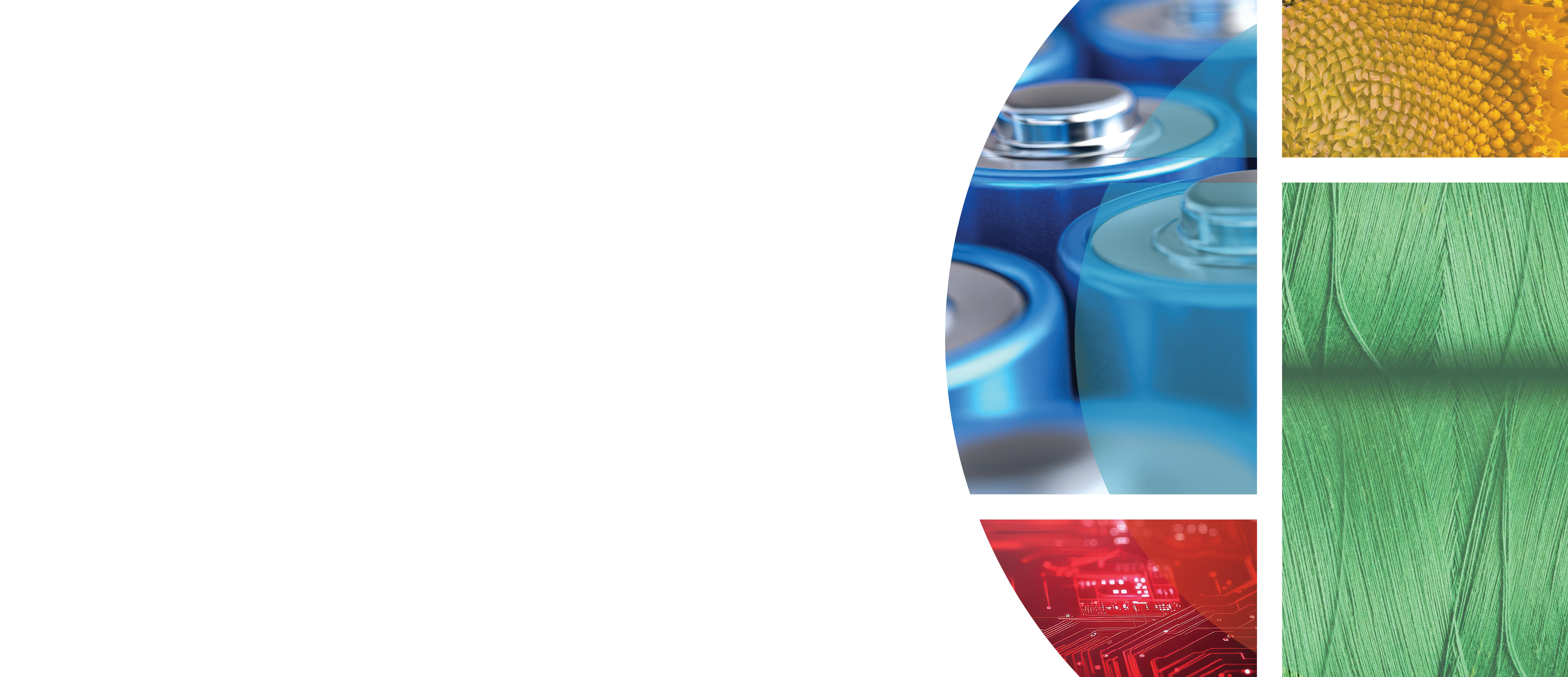 IP Report banner