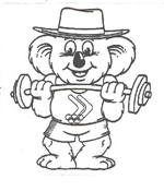 Olympic koala design