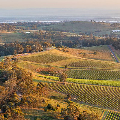 Drone view of green winery field with two small blue ponds